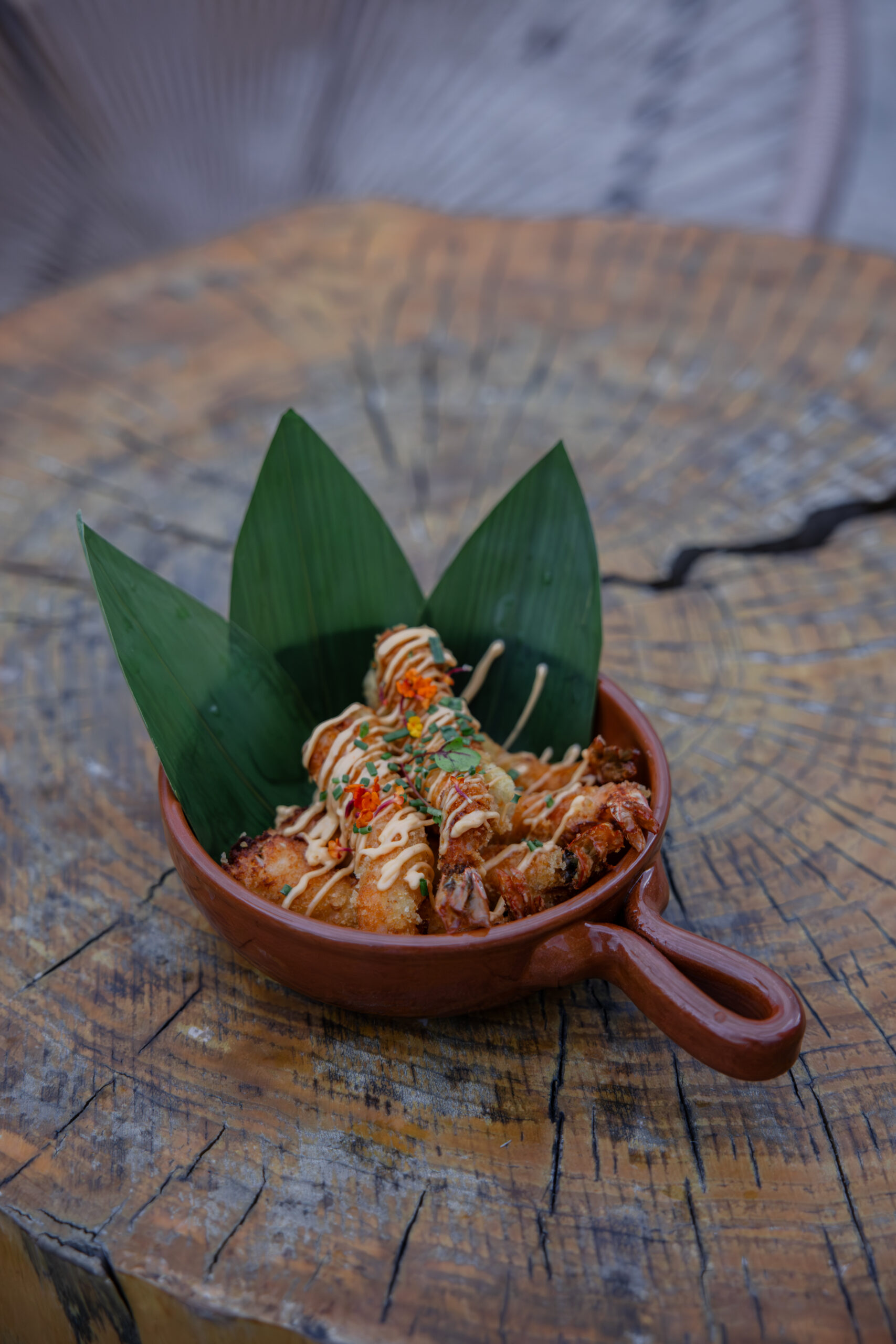 Shrimp Tempura